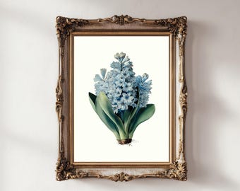 Blue Botanical Print Set: Vintage Floral Illustration Wall Art Prints (Digital Download)