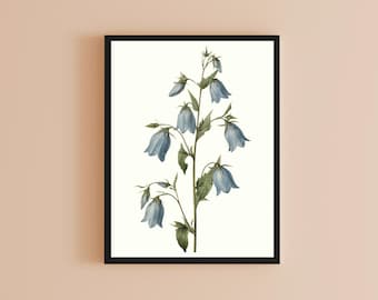 Vintage Botanical Wildflower Art, Blue Bell Flower Print, Farmhouse, Cottagecore, Rustic, Minimalist Interiors Wall Art (Digital Download)