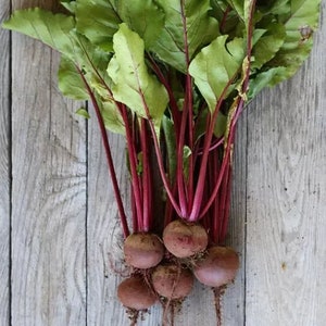 May include: A bunch of fresh red beets with green leaves on a wooden surface.