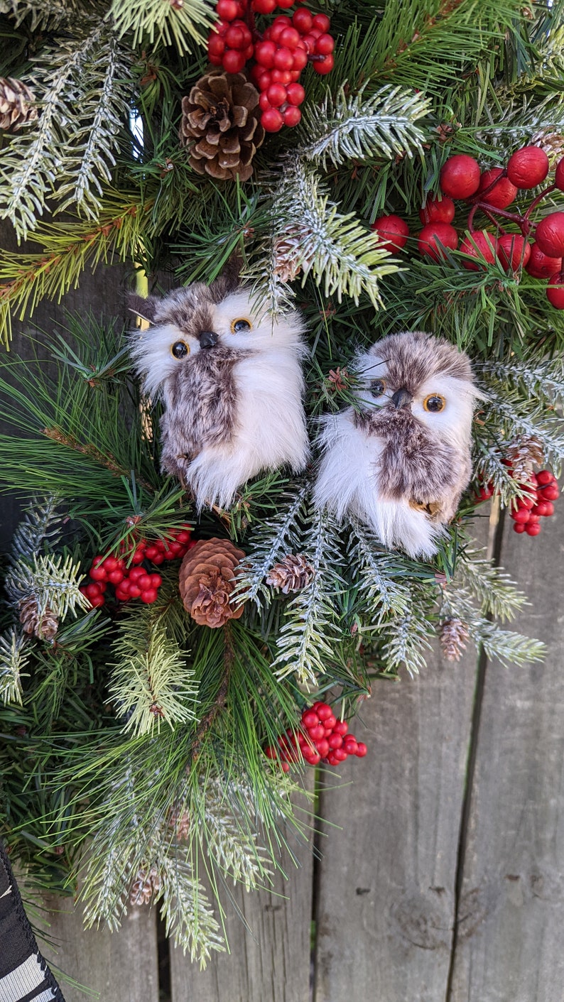 Christmas Wreath, Holiday Wreath, Owl Wreath, Black, White Plaid ribbon, Front Door Wreath, Front Door, Red Berries, Christmas Wreath 304 image 3