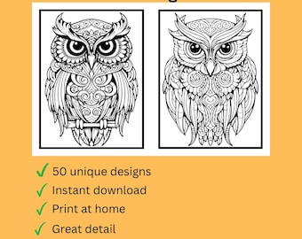 50 Owl Coloring Pages PDF Download – Printable Adult Sketches for Relaxation, Instant Digital Files
