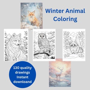 Tiermalvorlagen, 130 winterliche Wildtiermotive (PDF-Download)
