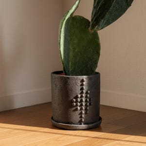 May include: A dark grey ceramic planter with a geometric pattern, containing a green cactus. The cactus has large, flat, paddle-shaped leaves. The planter sits on a matching saucer, lit by sunlight.