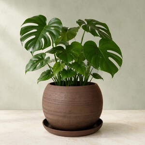 Large Brown Stoneware Planter with Saucer, Wheel-Thrown Ceramic Plant Pot, Rustic Indoor Planter