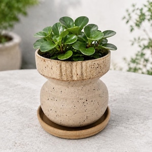 Op de afbeelding: Een gespikkelde beige keramische plantenpot met een uitlopende rand en een ronde vorm, rustend op een bijpassende ronde schotel. De pot bevat een kleine, groene plant met afgeronde, glanzende bladeren en een getextureerde, aardse afwerking.
