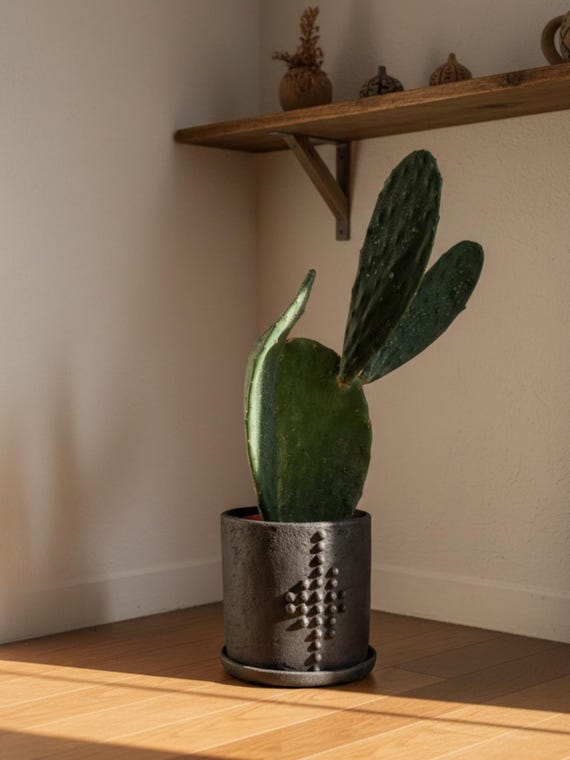 plastic pot planter Viagrow 45 gal Round Plastic Plant Pots