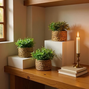 May include: Three small potted plants with green foliage in woven baskets sit on a wooden surface. A lit candle in a gold-coloured holder and two books are also on the surface. The plants are arranged on white pedestals.
