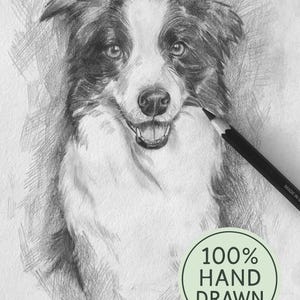May include: A detailed pencil sketch of a Border Collie dog, rendered in grayscale. The dog's face is the focal point, with a white and black coat, and a smiling expression. A pencil is in the frame, and a green circle with the text "100% HAND DRAWN" is in the lower right.
