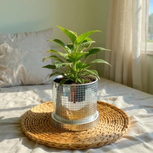 May include: A houseplant with bright green leaves in a silver mosaic-tiled pot. The pot sits on a round, woven placemat. The plant is indoors, on a bed with a white pillow in the background. The pot is approximately 15 cm in diameter.
