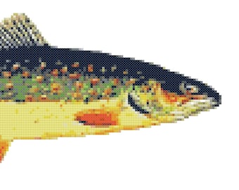 May include: A close-up of a brown, black, and orange trout fish with spots. The fish is swimming to the right.