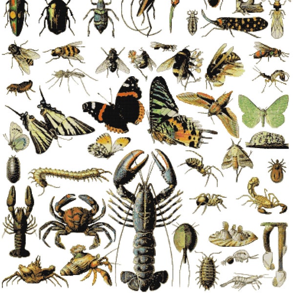 Arthropod Sampler Cross Stitch Pattern PDF chart | large poster size | unique nature lover gift | DIY home decor project | insect collector