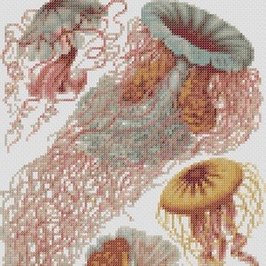 Haeckel Jellyfish Cross Stitch Pattern PDF chart Digital Download sewing craft needle art DIY embroidery