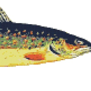 May include: A close-up of a brown, black, and orange trout fish with spots. The fish is swimming to the right.
