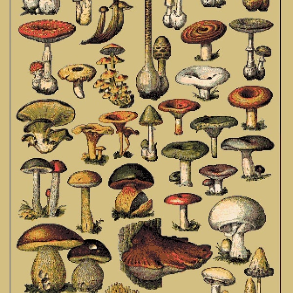 Amostra de cogumelo Padrão de ponto cruz PDF gráfico grande tamanho pôster cottagecore ponto cruz | ótimo presente ao ar livre presente | fungos exclusivos