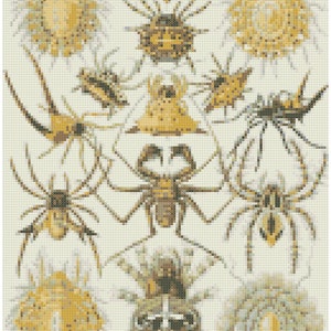 Haeckel Spiders Cross Stitch Pattern Digital Download PDF chart sewing craft needle art DIY modern embroidery point de croix