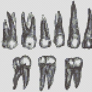 Dientes humanos - Patrón de punto de cruz digital único y extraño, gráfico en PDF, costura, artesanía, arte con aguja, bricolaje, bordado, cruz