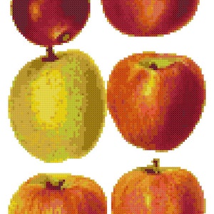 Apples Digital Cross Stitch Pattern PDF Download sewing craft needle art DIY embroidery croix