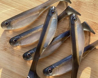 Roma Trout - 7.5