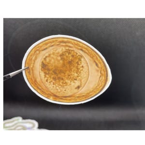 May include: A circular sticker featuring a detailed microscopic illustration of a roundworm egg. The design displays a textured, golden-brown, oval-shaped embryo encased within a thick, translucent, light-colored outer shell.