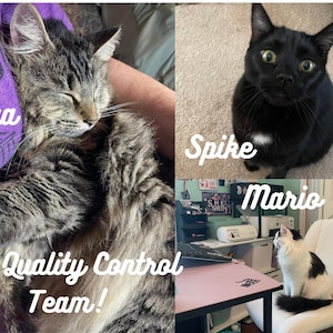 May include: A collage featuring three cats: Mya, a brown tabby cat sleeping; Spike, a solid black cat with a small white chest patch; and Mario, a black and white cat sitting on a white chair. The text reads Mya, Spike, Mario, and My Quality Control Team!
