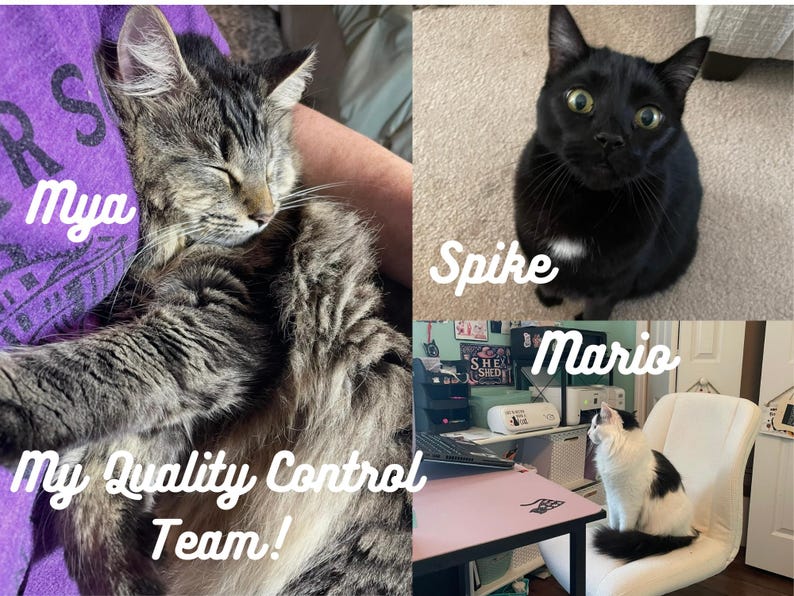 May include: A collage featuring three cats: Mya, a brown tabby cat sleeping; Spike, a solid black cat with a small white chest patch; and Mario, a black and white cat sitting on a white chair. The text reads Mya, Spike, Mario, and My Quality Control Team!