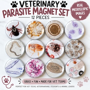 May include: A set of 12 round magnets featuring real microscopic images of various veterinary parasites. The text reads VETERINARY PARASITE MAGNET SET, 12 PIECES, REAL MICROSCOPIC IMAGES, and GROSS FUN MADE FOR VET TEAMS.