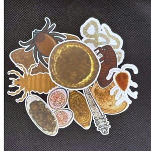 May include: A collection of die-cut stickers featuring various parasites and biological specimens, including a tick, a flea, a louse, a tapeworm segment, a protozoan, and several oval-shaped eggs, all arranged in a cluster on a dark textured surface.