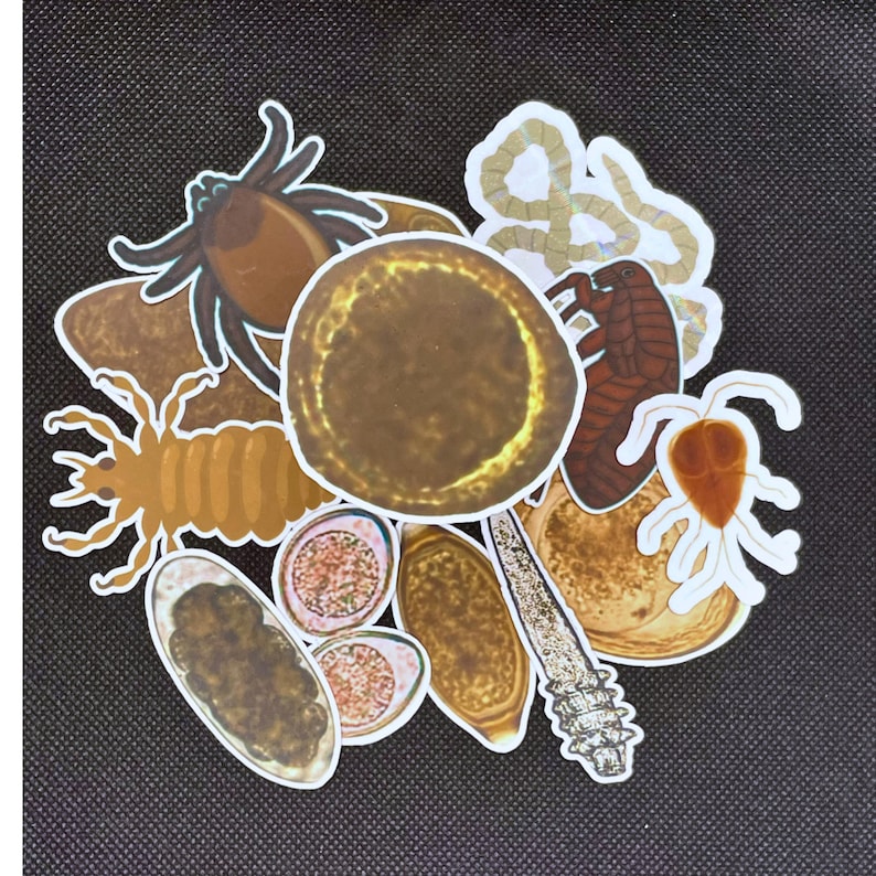 May include: A collection of die-cut stickers featuring various parasites and biological specimens, including a tick, a flea, a louse, a tapeworm segment, a protozoan, and several oval-shaped eggs, all arranged in a cluster on a dark textured surface.