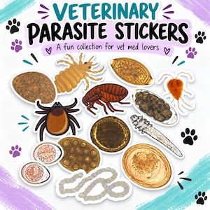 May include: A collection of veterinary parasite stickers featuring illustrations of various organisms, including a flea, tick, louse, and microscopic eggs. The text reads VETERINARY PARASITE STICKERS A fun collection for vet med lovers.