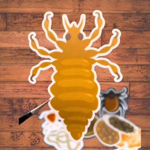 May include: A die-cut sticker featuring a large, golden-yellow louse with six segmented legs and two antennae. Below it, smaller stickers depict a grey tick and various other biological specimens, all arranged on a wooden surface.