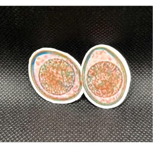 May include: A sticker featuring two oval-shaped avocado halves with a white border. The avocado flesh has a textured, speckled appearance in shades of orange, brown, and green, with a light-colored rim around the edges of the fruit.