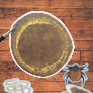 May include: A circular sticker featuring a brown, textured surface with a lighter yellow-brown ring, accompanied by a small tick illustration and a pair of metal tweezers positioned at the edge of the circular shape.