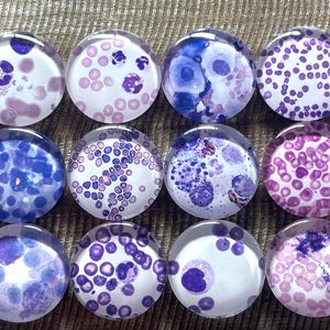 May include: A set of twelve circular glass cabochons featuring microscopic images of blood cells. Each piece displays various cellular structures in shades of purple, blue, and pink, with clear, smooth, domed surfaces and flat backs.