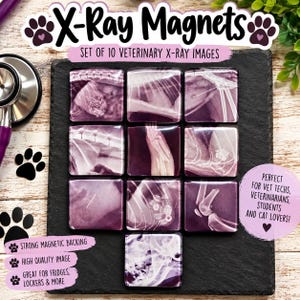 May include: A set of ten square magnets featuring veterinary X-ray images in shades of purple and white. The magnets are arranged in a grid on a black slate surface. Text on the image reads X-Ray Magnets, Set of 10 Veterinary X-Ray Images, and Perfect for Vet Techs, Veterinarians, Students and Cat Lovers.