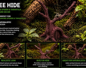 Enchanted Tree Door Hide - Fantasy Spider Habitat Accessory