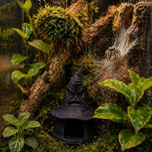 Jumping Spider Sorting Hat Hide (2in, Enclosure Decor)