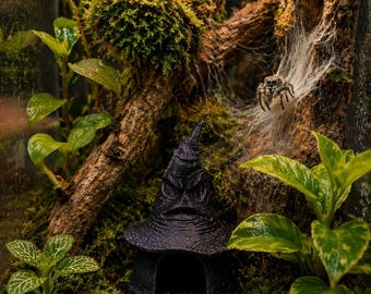 Jumping Spider Sorting Hat Hide (2in, Enclosure Decor)