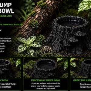 Enchanted Tree Stump Water Dish: Natural Woodland Pet Bowl