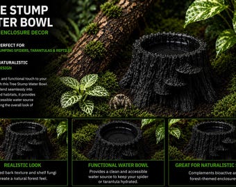 Enchanted Tree Stump Water Dish: Natural Woodland Pet Bowl
