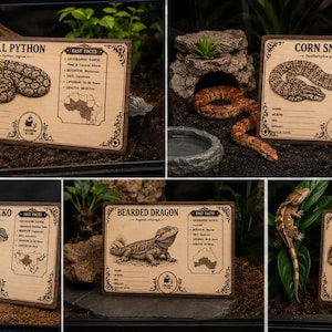 Op de afbeelding: Een verzameling van vijf rechthoekige houten reptielen-identificatiebordjes met lasergegraveerde illustraties en feiten voor een koningspython, rattenslang, luipaardgekko, baardagame en wimpergekko, elk met lege regels voor gegevens.