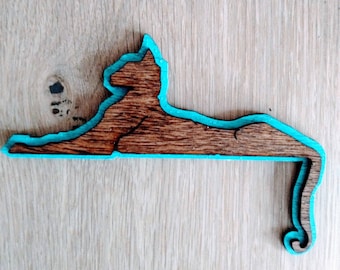 Grateful dead magnet , Phish magnet, string cheese incident, magnets,