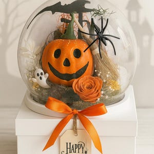 May include: A Halloween-themed snow globe featuring an orange pumpkin with a smiling face, a ghost, and a black spider. The globe sits atop a white box tied with an orange ribbon and a tag that reads "Happy Halloween".