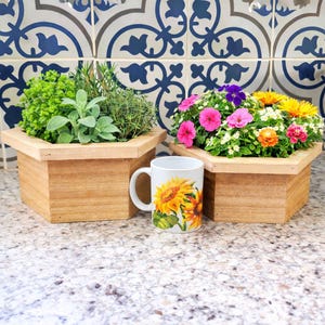 May include: Two wooden planters filled with herbs and colorful flowers sit on a speckled countertop. A white mug with a sunflower design is in front of the planters. The background features blue and white patterned tiles.