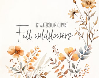 Watercolor wildflower png clipart, Botanical bundle, Pressed flower, Tiny flowers, Wildflowers bouquet, Boho bouquets, Wild floral, Flowered