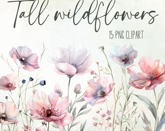 Tall wildflower clipart bundle, Watercolor wild flower png, Botanical tiny flowers, Wildflowers elements, DIY flowered borders, Floral set