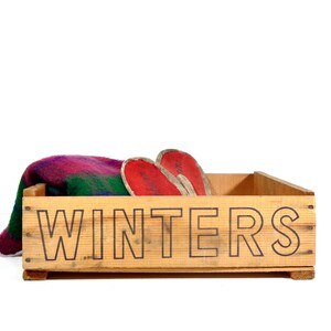 Vintage Wooden Advertising Crate, 1930s Winters Golden Peak Apricots Fruit Wood Box, Antique Rustic Winter Cabin Cottage Farmhouse Decor