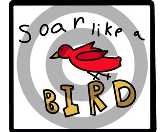 Soar!
