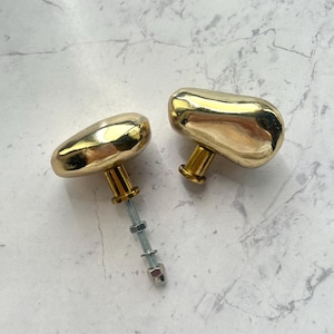 May include: Two gold-colored cabinet knobs with a smooth, organic, pebble-like shape. One knob features a long threaded metal bolt extending from the base, equipped with two small metal nuts and a washer for secure installation on furniture.