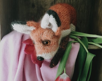 Fox Cub knitting pattern