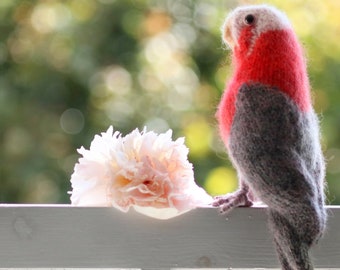 PARROT - Knitting Pattern